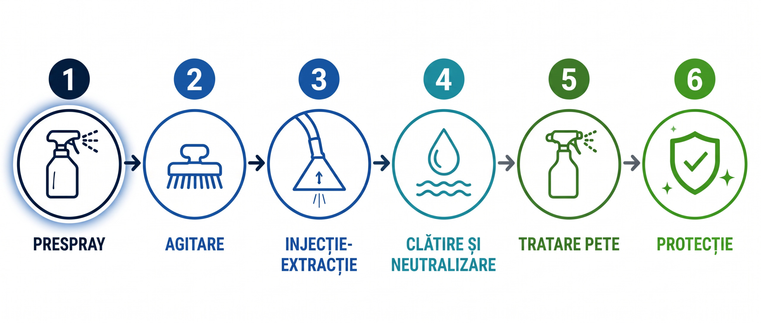 Diagrama celor șase pași ai sistemului complet de curățare, cu pasul prespray evidențiat pentru Enzyme Prespray PRO