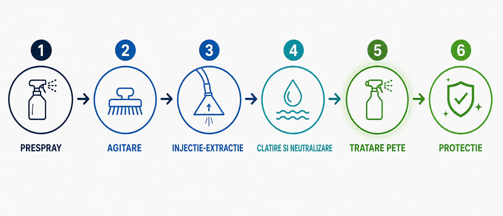 Diagrama celor șase pași ai sistemului complet de curățare, cu pasul tratare specifică a petelor evidențiat pentru Urine Stain Remover PRO