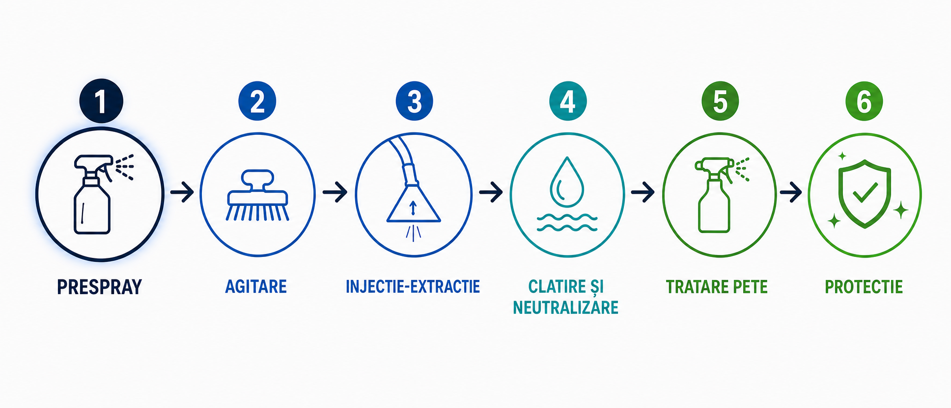 Diagrama celor șase pași ai sistemului complet de curățare a mochetei, cu pasul prespray evidențiat pentru Power Prespray PRO